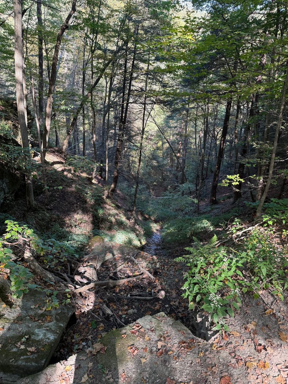 African Ebony Lumber